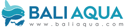 Bali Aqua