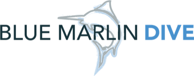 Blue Marlin Dive Komodo