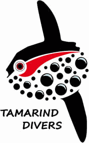 Tamarind Divers